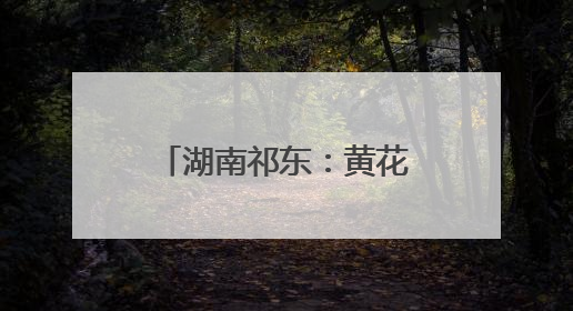 湖南祁东：黄花菜产业助农增收