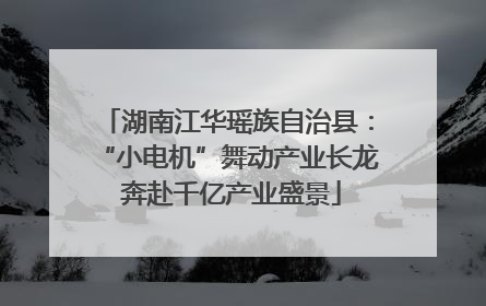 湖南江华瑶族自治县：“小电机”舞动产业长龙 奔赴千亿产业盛景