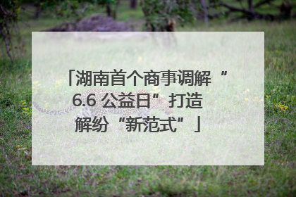 湖南首个商事调解“6.6 公益日”打造解纷“新范式”