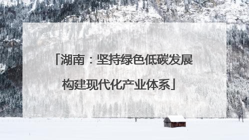 湖南：坚持绿色低碳发展 构建现代化产业体系