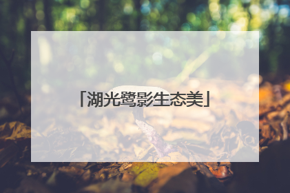 湖光鹭影生态美