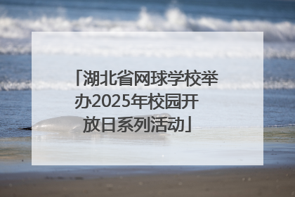 湖北省网球学校举办2025年校园开放日系列活动