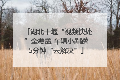 湖北十堰“视频快处”全覆盖 车辆小剐蹭5分钟“云解决”