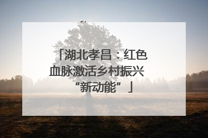 湖北孝昌：红色血脉激活乡村振兴“新动能”