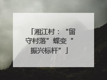 湘江村：“留守村落”蝶变“振兴标杆”