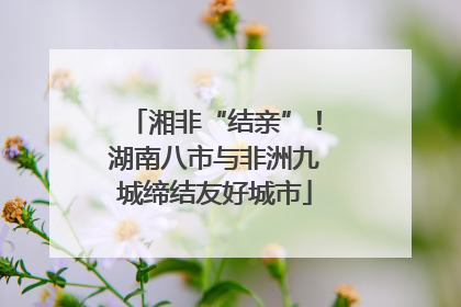 湘非“结亲”！湖南八市与非洲九城缔结友好城市