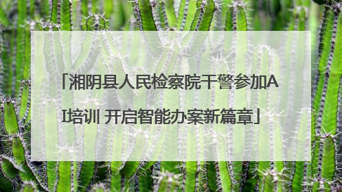 湘阴县人民检察院干警参加AI培训 开启智能办案新篇章