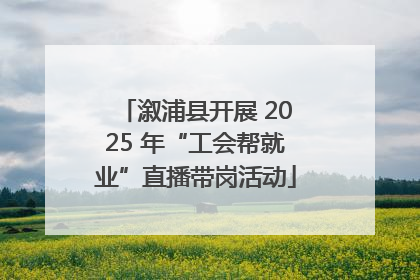 溆浦县开展 2025 年“工会帮就业”直播带岗活动
