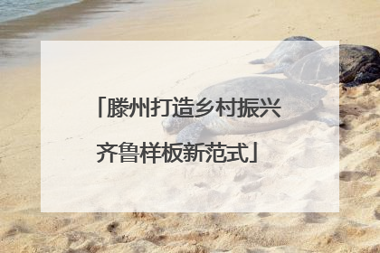 滕州打造乡村振兴齐鲁样板新范式