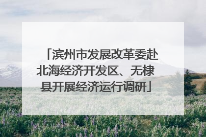 滨州市发展改革委赴北海经济开发区、无棣县开展经济运行调研