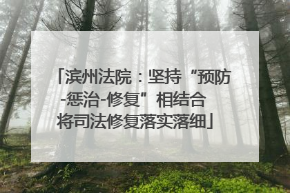 滨州法院：坚持“预防-惩治-修复”相结合 将司法修复落实落细