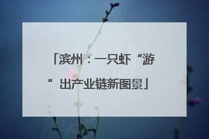 滨州：一只虾“游”出产业链新图景