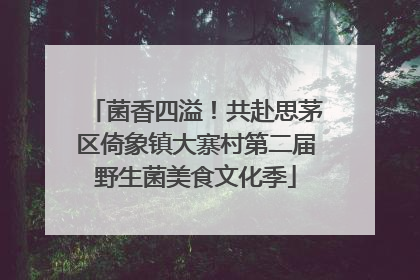 菌香四溢！共赴思茅区倚象镇大寨村第二届野生菌美食文化季