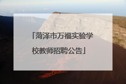 菏泽市万福实验学校教师招聘公告