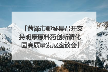 菏泽市鄄城县召开支持明康原料药创新孵化园高质量发展座谈会