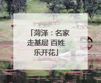 菏泽：名家走基层 百姓乐开花