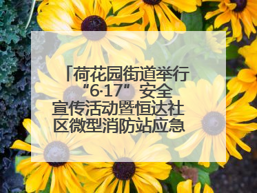 荷花园街道举行“6·17”安全宣传活动暨恒达社区微型消防站应急小分队启动式
