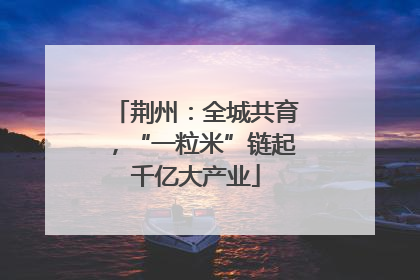 荆州：全城共育，“一粒米”链起千亿大产业