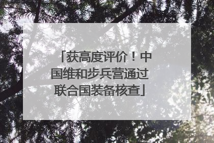 获高度评价！中国维和步兵营通过联合国装备核查