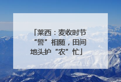 莱西：麦收时节“警”相随，田间地头护“农”忙