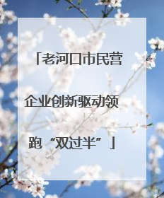老河口市民营企业创新驱动领跑“双过半”