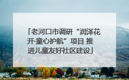 老河口市调研“润泽花开·童心护航”项目 推进儿童友好社区建设
