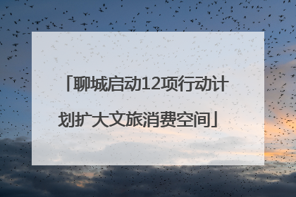 聊城启动12项行动计划扩大文旅消费空间