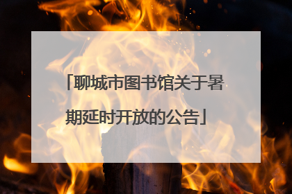 聊城市图书馆关于暑期延时开放的公告