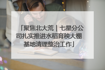 聚焦北大荒｜七星分公司扎实推进水稻育秧大棚基地清理整治工作