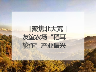 聚焦北大荒｜友谊农场“稻耳轮作”产业振兴“花开两朵”