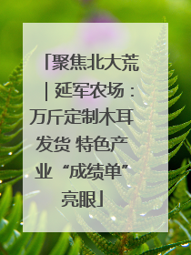 聚焦北大荒｜延军农场：万斤定制木耳发货 特色产业“成绩单”亮眼
