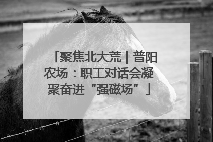 聚焦北大荒｜普阳农场：职工对话会凝聚奋进“强磁场”