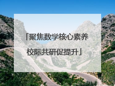 聚焦数学核心素养 校际共研促提升