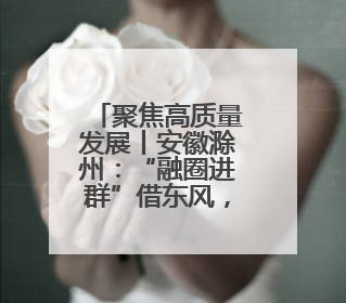聚焦高质量发展丨安徽滁州：“融圈进群”借东风，当好发展“合伙人”