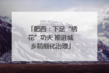 肥西：下足“绣花”功夫 推进城乡精细化治理
