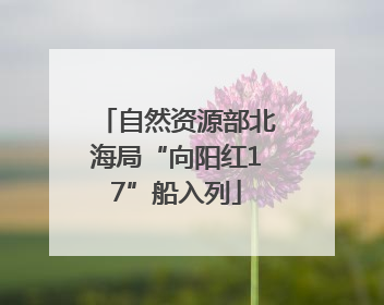 自然资源部北海局“向阳红17”船入列