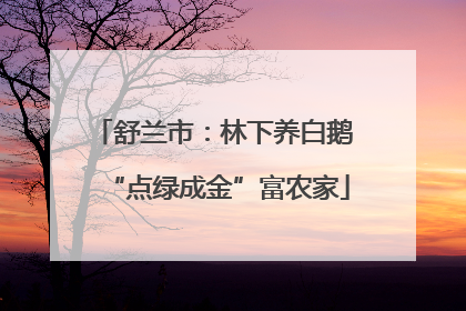 舒兰市：林下养白鹅 “点绿成金”富农家