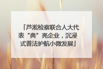 芦淞检察联合人大代表“典”亮企业，沉浸式普法护航小微发展