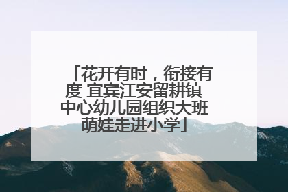 花开有时，衔接有度 宜宾江安留耕镇中心幼儿园组织大班萌娃走进小学