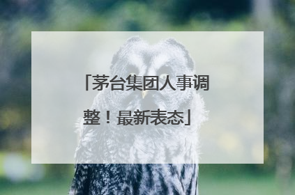 茅台集团人事调整！最新表态