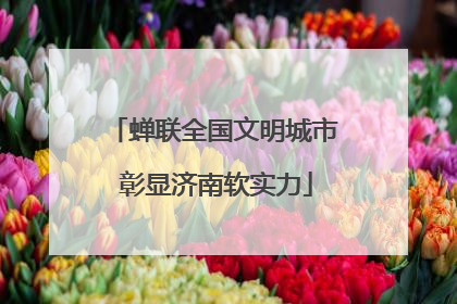 蝉联全国文明城市 彰显济南软实力