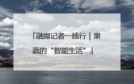 融媒记者一线行｜果蔬的“智能生活”