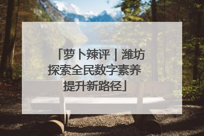 萝卜辣评｜潍坊探索全民数字素养提升新路径