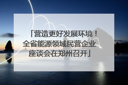 营造更好发展环境！全省能源领域民营企业座谈会在郑州召开