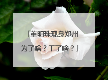 董明珠现身郑州 为了啥？干了啥？