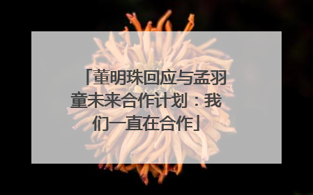 董明珠回应与孟羽童未来合作计划：我们一直在合作