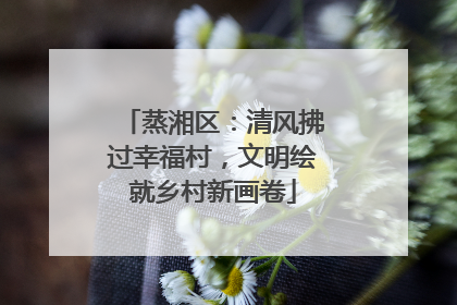 蒸湘区：清风拂过幸福村，文明绘就乡村新画卷