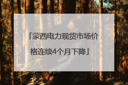 蒙西电力现货市场价格连续4个月下降