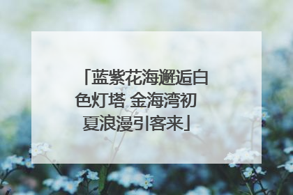 蓝紫花海邂逅白色灯塔 金海湾初夏浪漫引客来