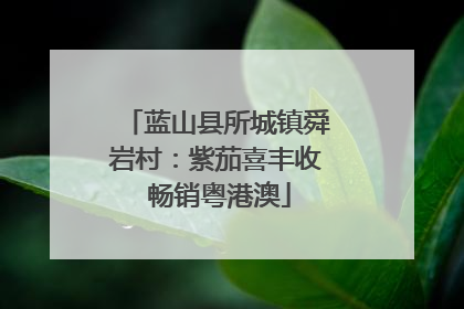 蓝山县所城镇舜岩村：紫茄喜丰收 畅销粤港澳